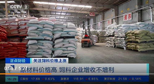 飼料價格上漲的連鎖反應 養殖戶虧損加劇，企業利潤承壓
